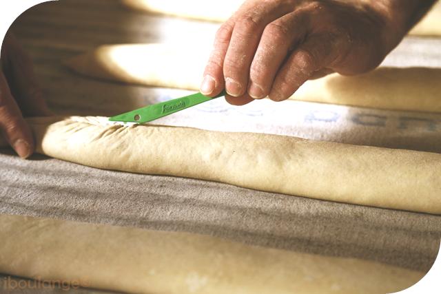 Grignette verte (P/10)